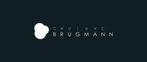 Brugmann